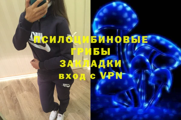 таблы Белокуриха